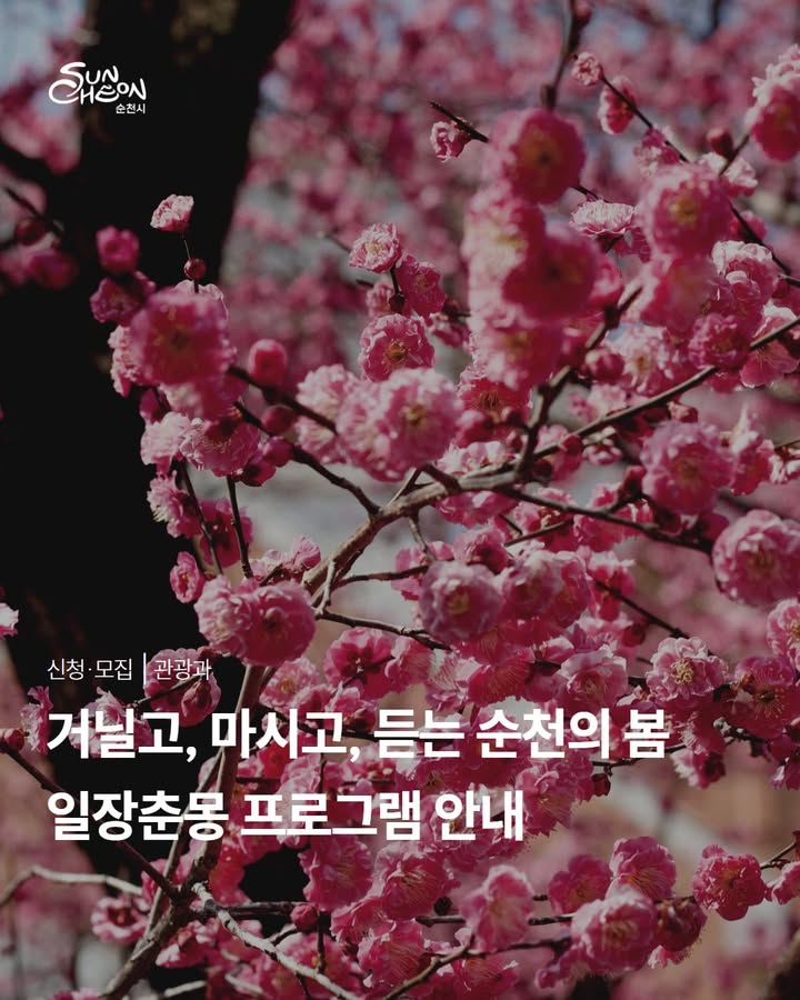 천천히 머무는 순천의 봄

일장춘몽 참여자 모집 !

 

  장 소

선암사 및 전통야생차체험관

  운영일자

2026. 3. 20.(금)

2026. 3. 21.(토)

2026. 3. 22.(일)

⏰ 운영시간 : 13:00 ~ 19:00

  모집인원 : 회차별 14명

​
  참가비 : 1인 30,000원

  신청방법 : 포스터 QR코드 신청서 작성

https://docs.google.com/forms/d/e/1FAIpQLSc6NdMxnPaif9XpekSC2OqNLvJeOY9EnFzqPHQx_IoKpt499A/viewform

☎  문 의

인스타그램 @team_kimnpark

  010 4322 7030