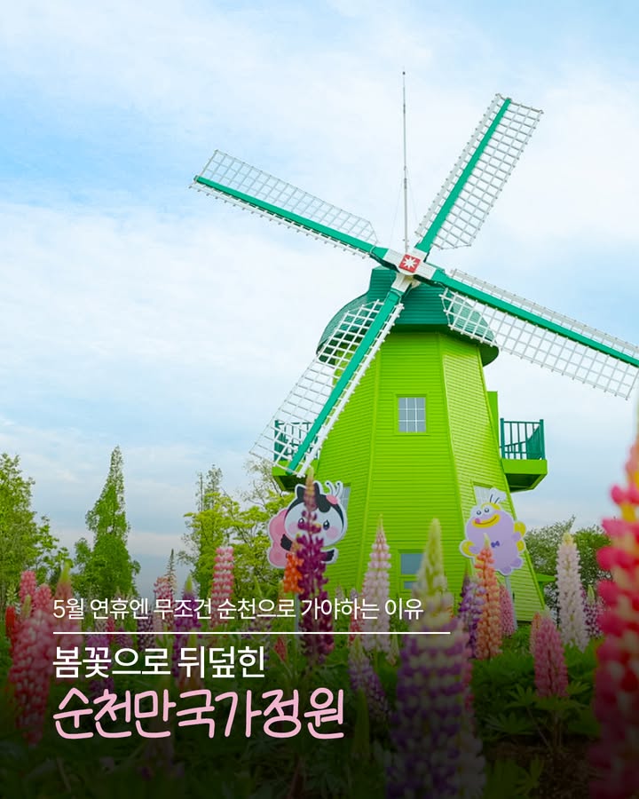5월 연휴, 지금 가야 할 여행지!
  순천만국가정원

봄꽃으로 물든 지금,
순천만국가정원이 가장 예쁜 순간이에요  

✔ 알록달록 꽃밭 가득한 봄 풍경  
✔ 형형색색 장미와 다양한 꽃 전시  
✔ 풍차, 정원, 산책길까지 감성 가득 포토존  

  여기서 끝이 아니에요!
✔ 세계 각국 테마정원과 이색 공간까지 한 번에  
✔ 가족, 연인, 친구와 함께 걷기 좋은 힐링 코스  ‍♀ 

  위치
전남 순천시 국가정원1호길 47

푸른 하늘과 꽃으로 가득한 정원에서
인생샷 남기기 딱 좋은 지금!
주말 나들이는 순천만국가정원으로 떠나보세요  

#순천 #순천만국가정원 #순천여행
#전남여행 #봄꽃여행 #국내여행추천
