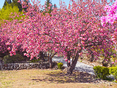 [추가운행]산사투어(11월 18/25일)