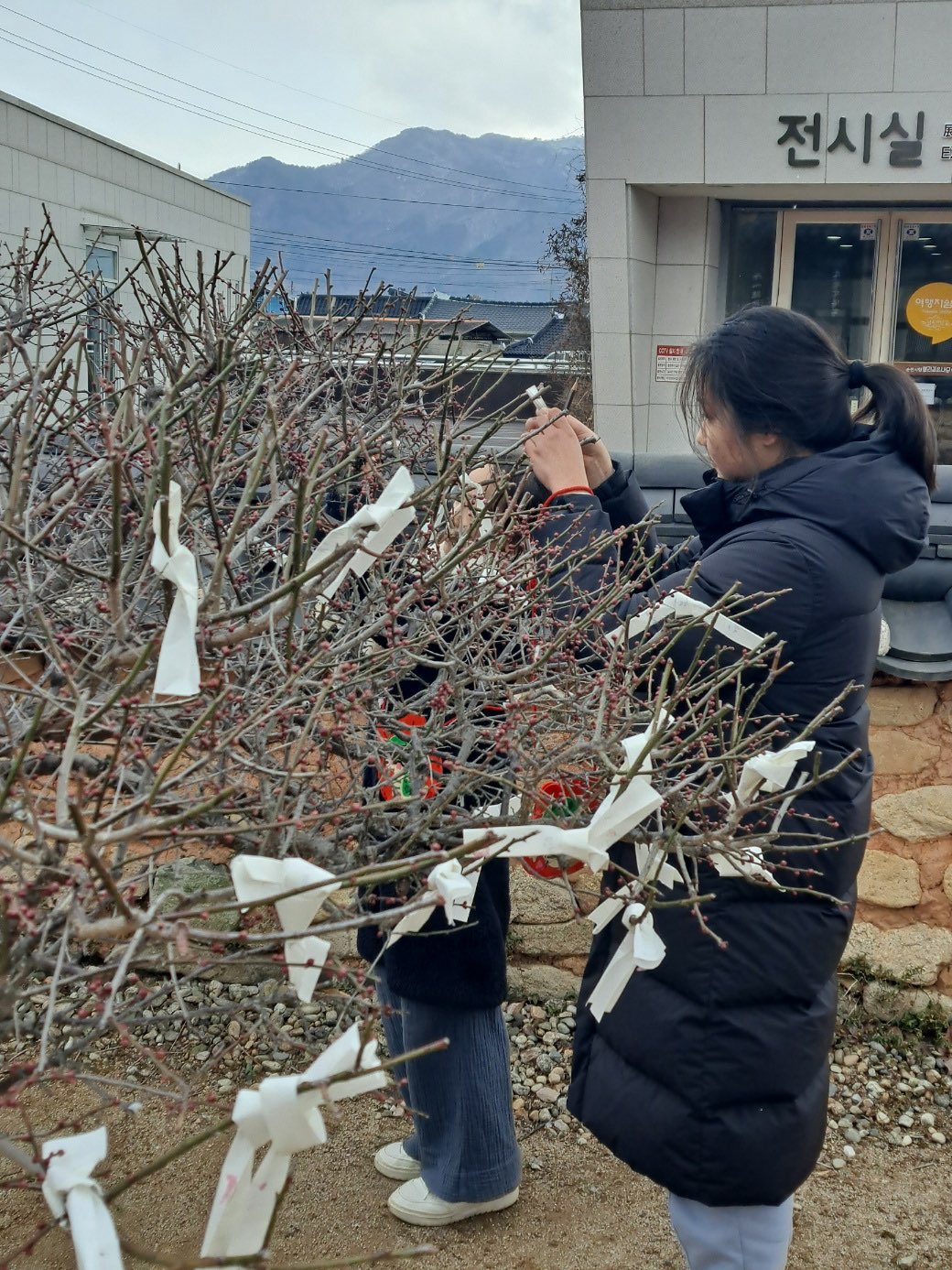 소원지1.jpg 이미지입니다.