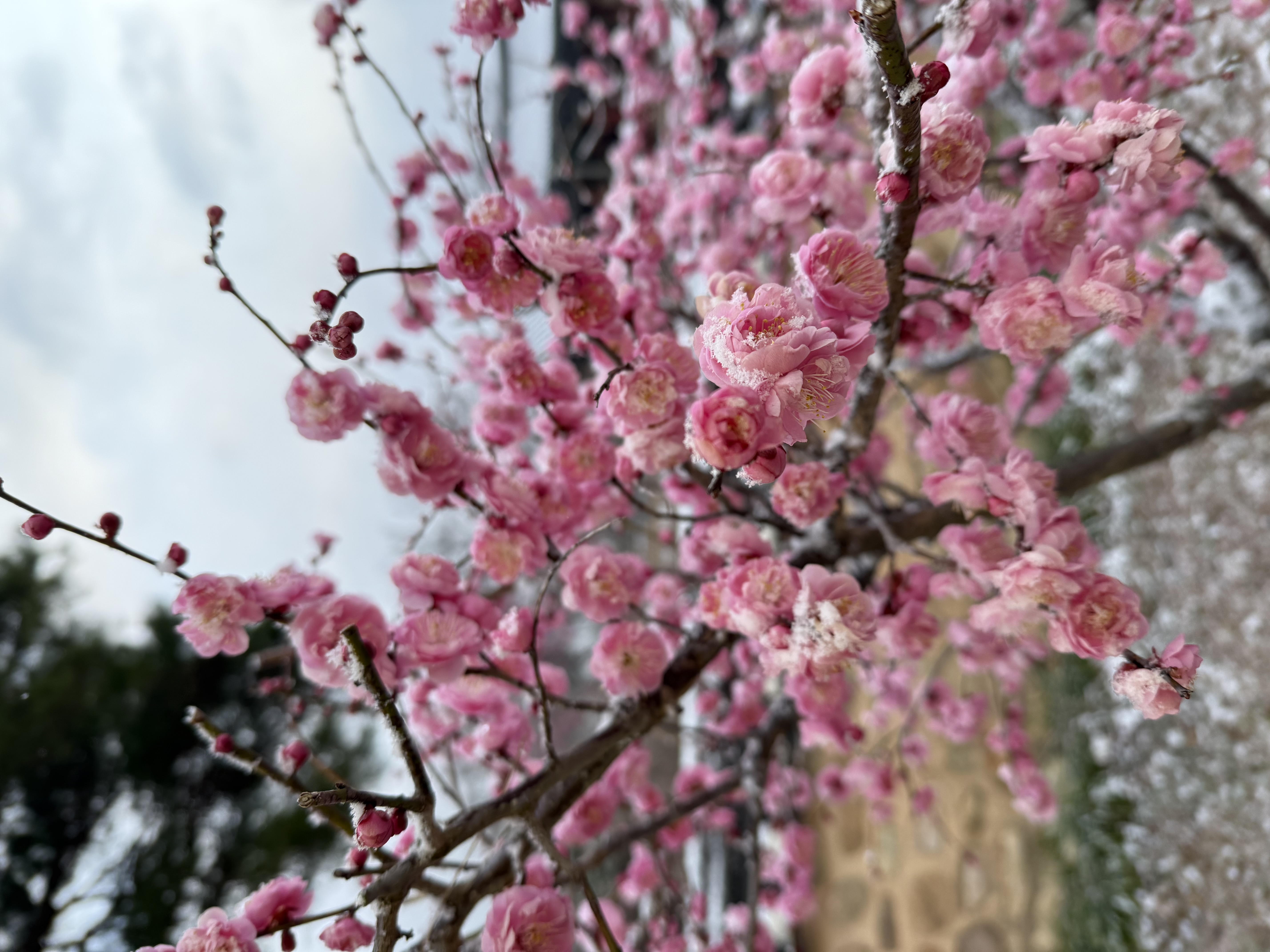 IMG_3817.jpeg 이미지입니다.