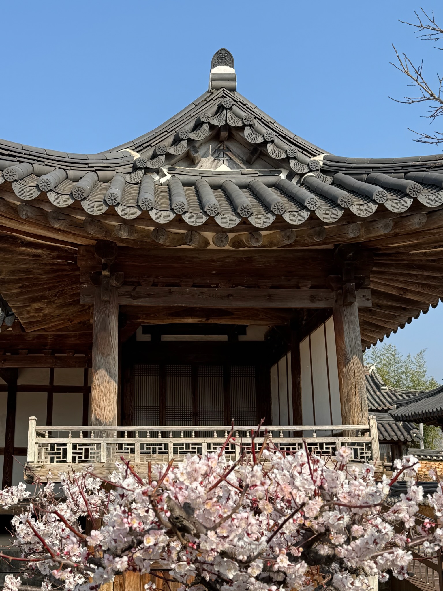 봄4.jpg 이미지입니다.