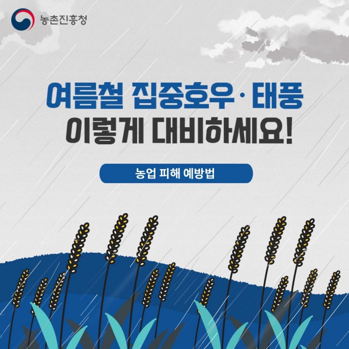 01.jpg 이미지입니다.