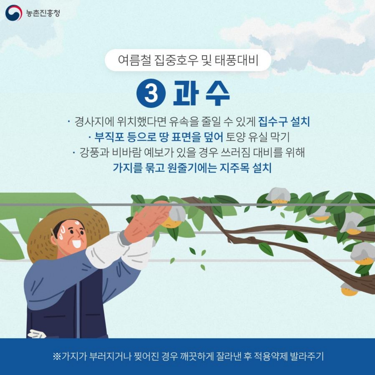 05.jpg 이미지입니다.