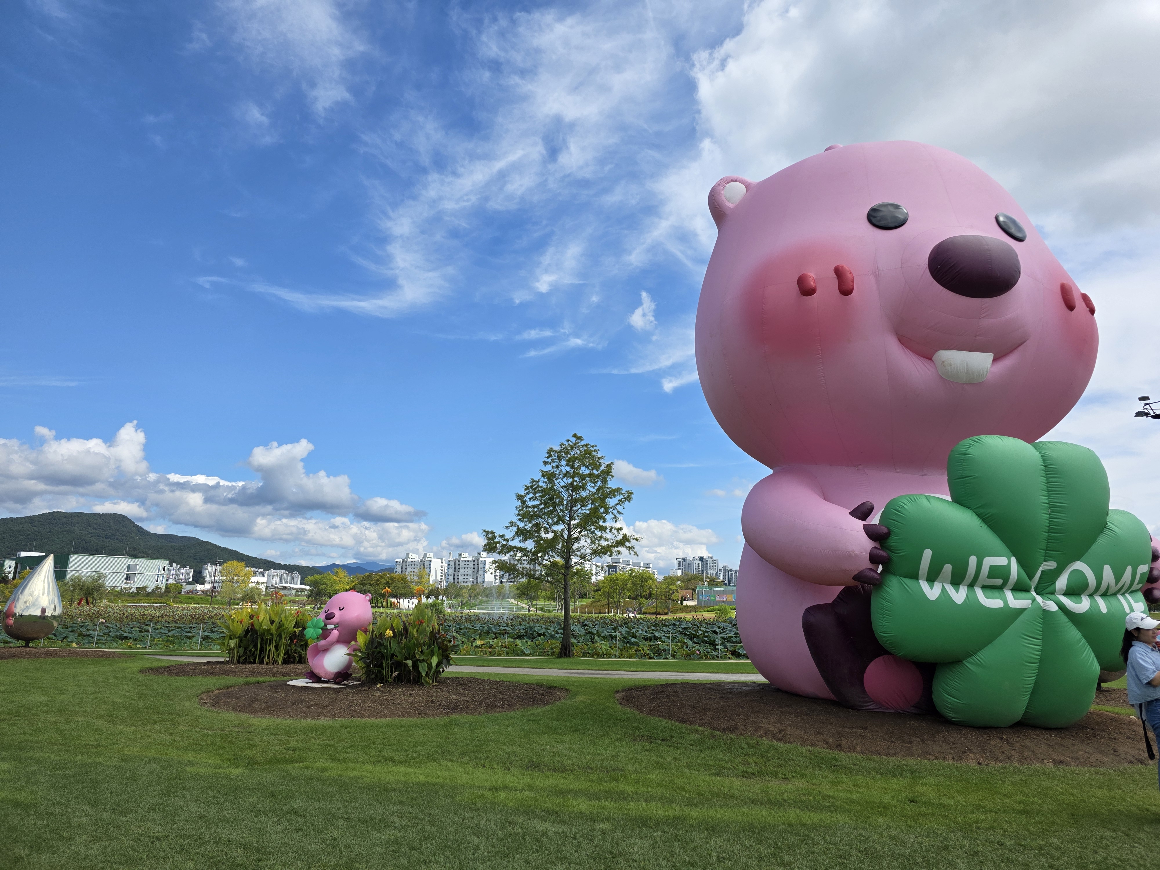 20250921_111631.jpg 이미지입니다.